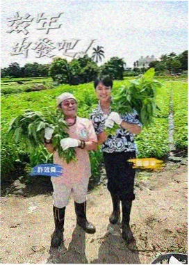 密室推理现场 日韩综艺真人秀